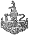 12th Light Horse badge