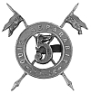 Royal Irih Lancers badge<i><i></i></i>